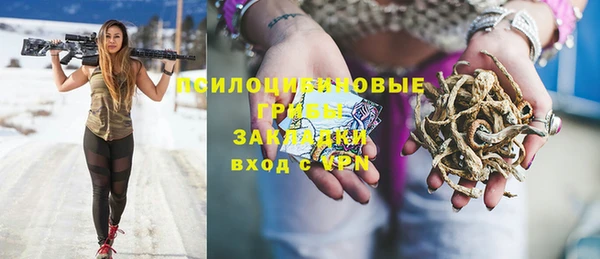 прущие крисы Красноперекопск