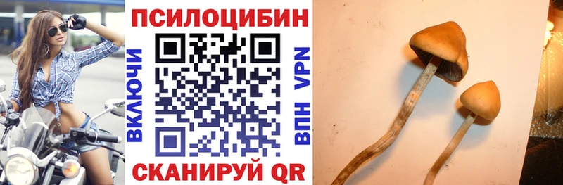 Галлюциногенные грибы Psilocybe Лебедянь